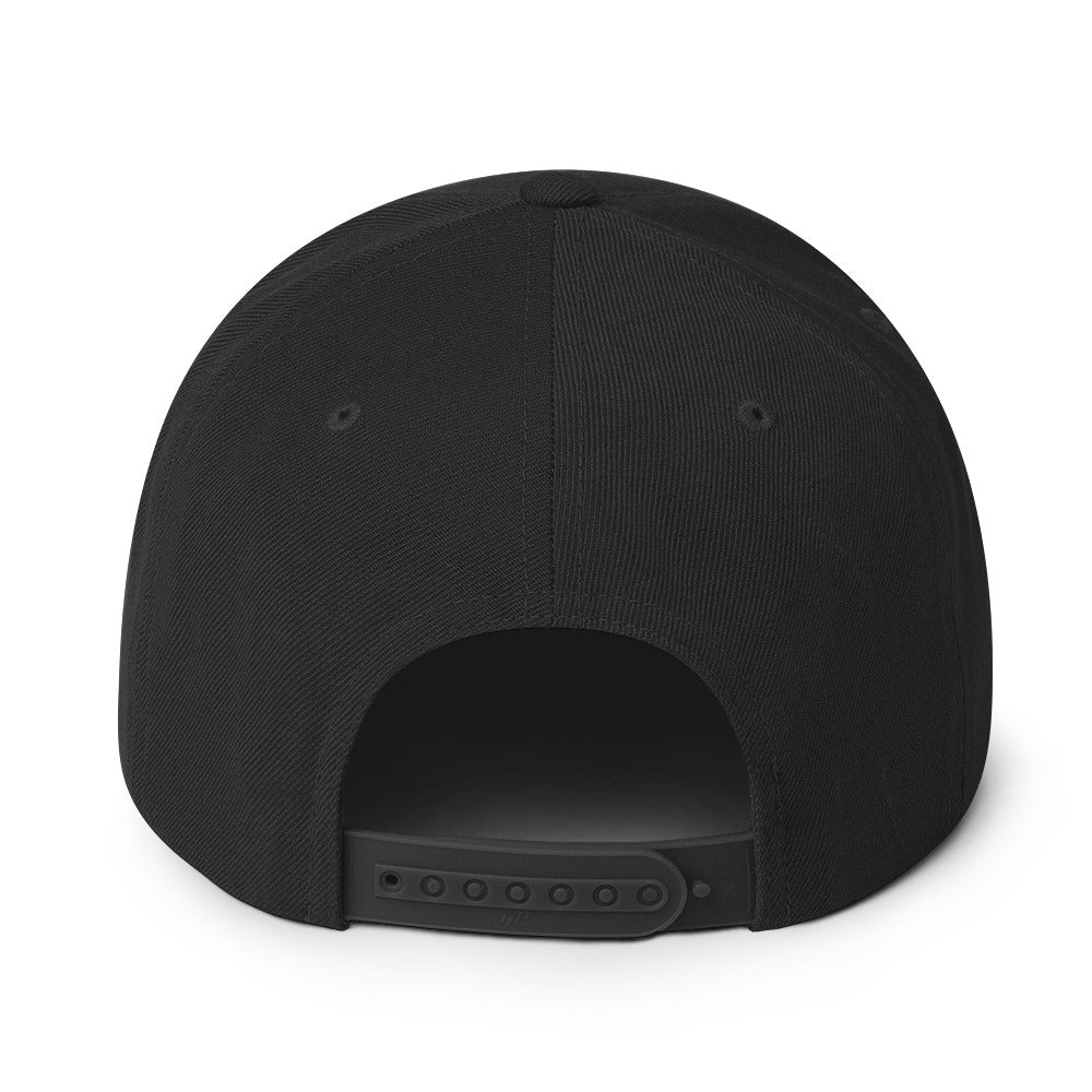 Spray away Hairpocalypse Snapback Hat