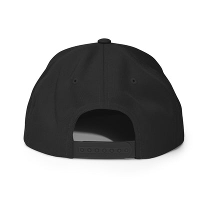 Life is not perfect, but your Hair can be! Snapback Hat